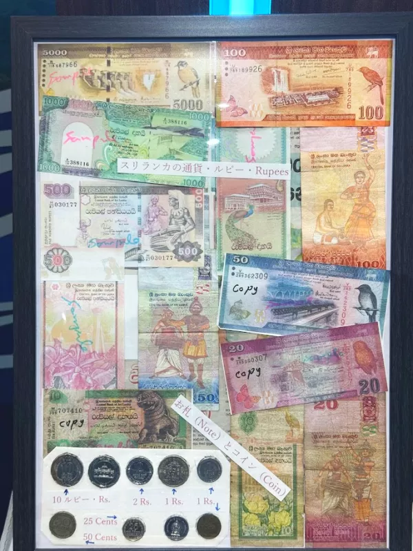 スリランカのお金 イメージ